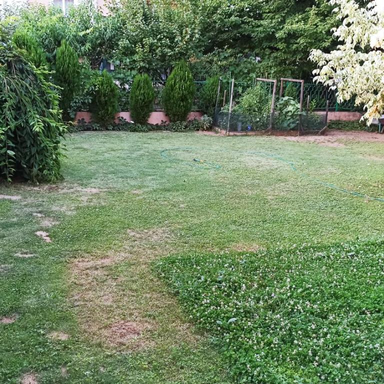 Studio Frankfurt - Apartman sa 1 Spavaćom Sobom - 28