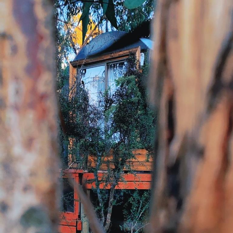 Domos la Resiliencia - Habitación Doble con baño privado - 3