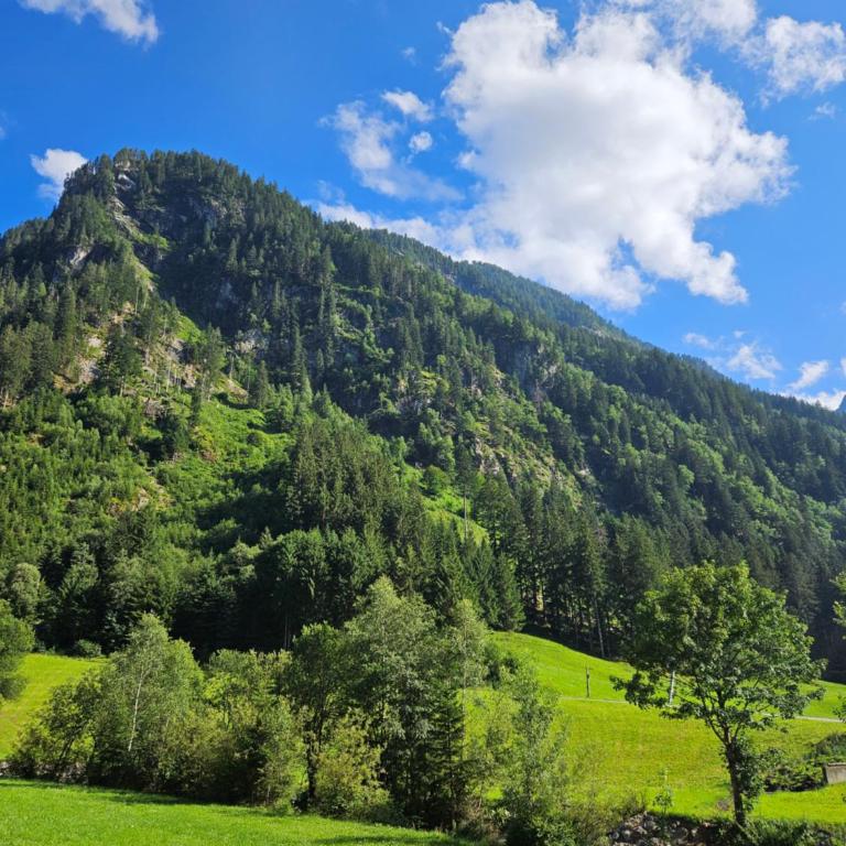 Apartment Wandegg im Bergsteigerdorf Ginzling Mayrhofen - Apartment mit Blick auf die Berge - 15