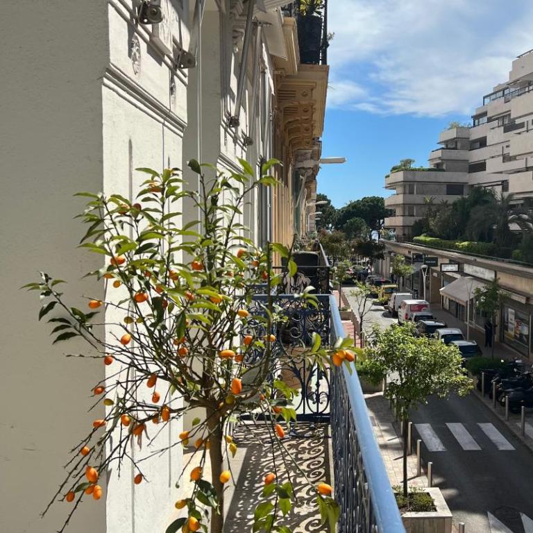 Appartement d'exception Croisette Palais - Apartment - 3