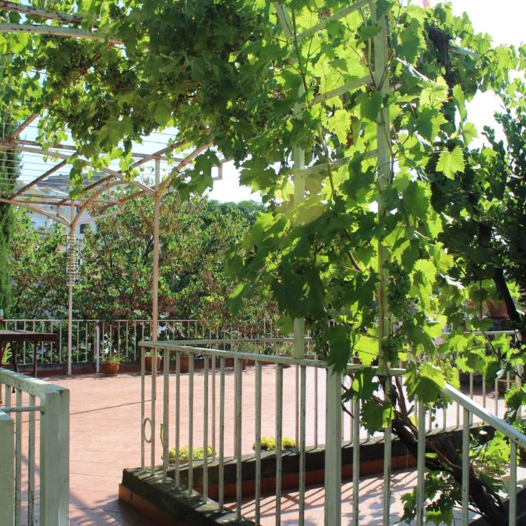 Terrazza House Old Town Herceg Novi - One-Bedroom House - 41