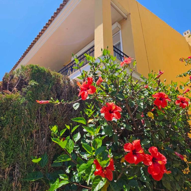 Rosario duplex - Apartamento de 3 dormitorios - 20