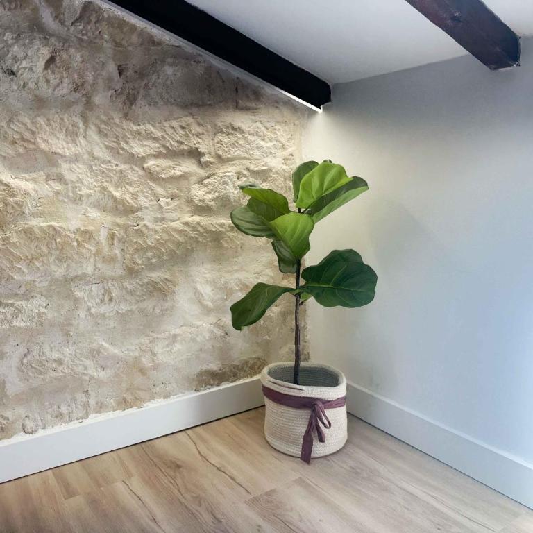 La buhardilla del Mercado Ubicacion e historia - Apartamento de 2 dormitorios - 39