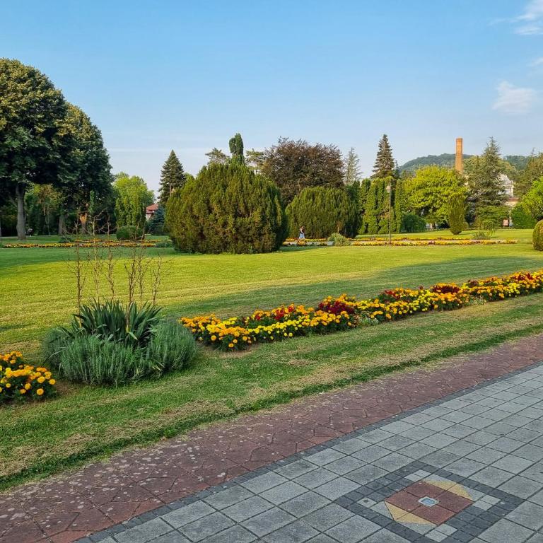 Apartman Jelena II - Apartman sa 1 Spavaćom Sobom - 34