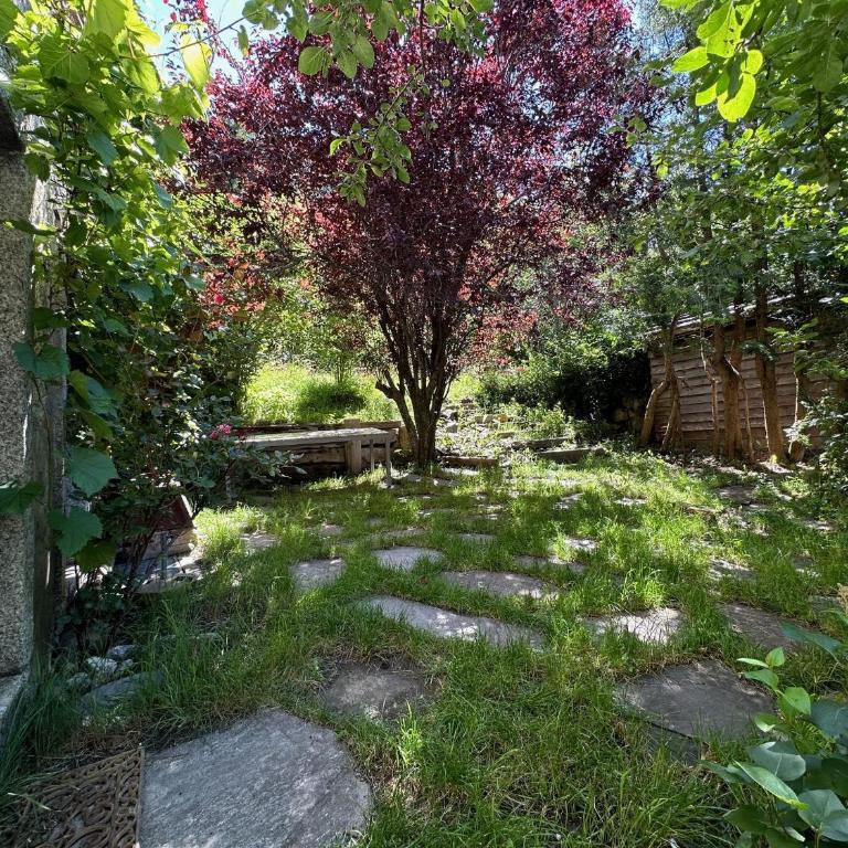 La Maison du Bassin - Grand St Bernard - Orsieres - Ferienhaus mit 4 Zimmern - 38