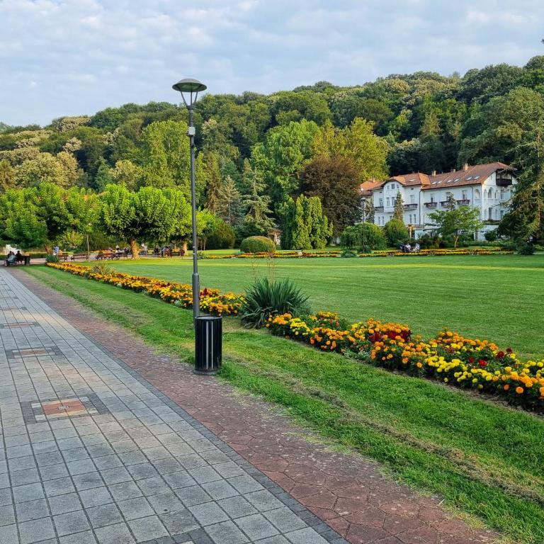 Apartman Jelena - Apartman sa 1 Spavaćom Sobom - 16