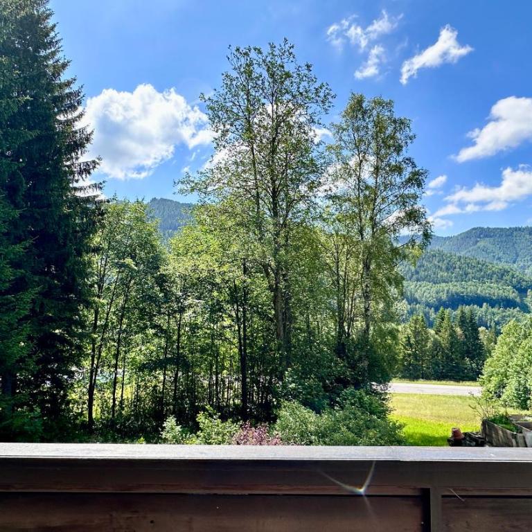 Semmering Guest Haus - Haus mit 1 Schlafzimmer - 25