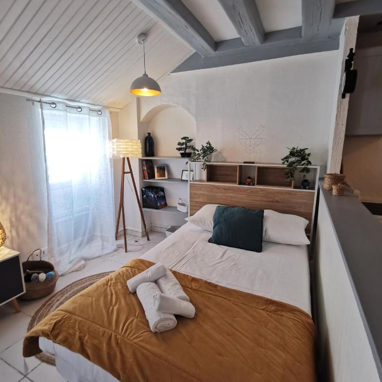 L'Authentique - Appartement proche CHU - Studio - 12