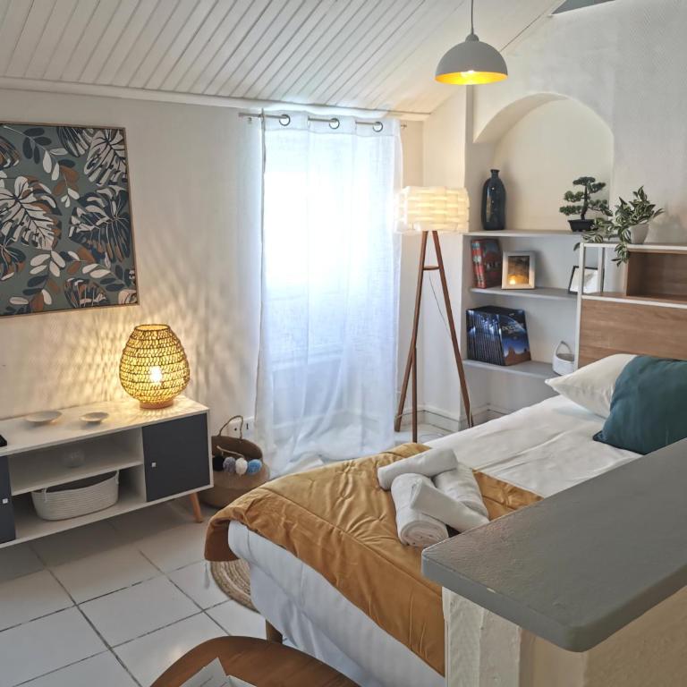 L'Authentique - Appartement proche CHU - Studio - 3