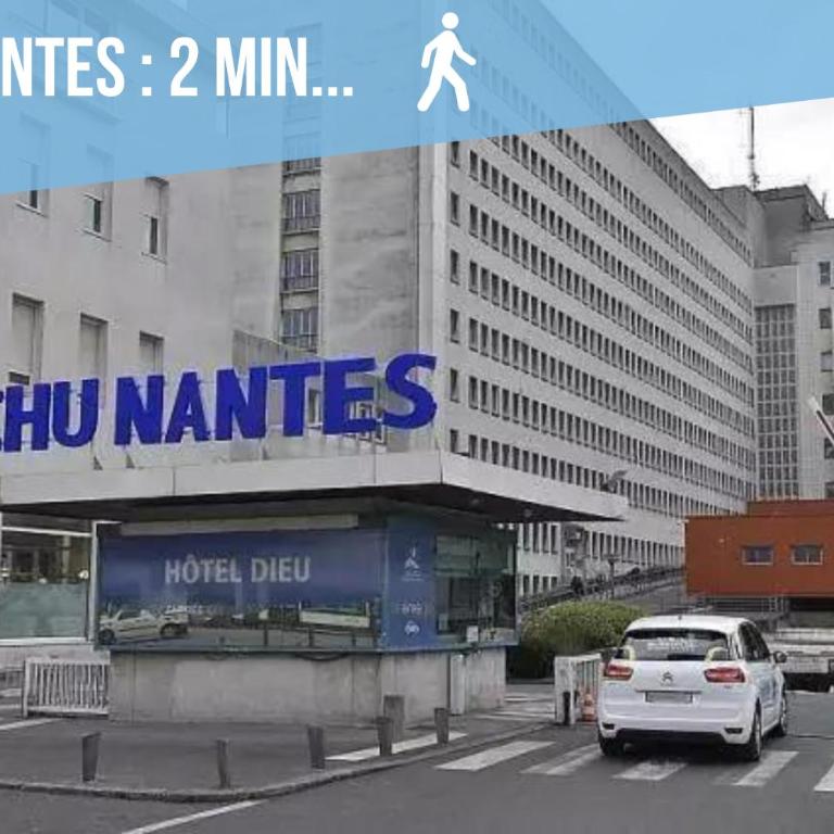 L'Authentique - Appartement proche CHU - Studio - 14