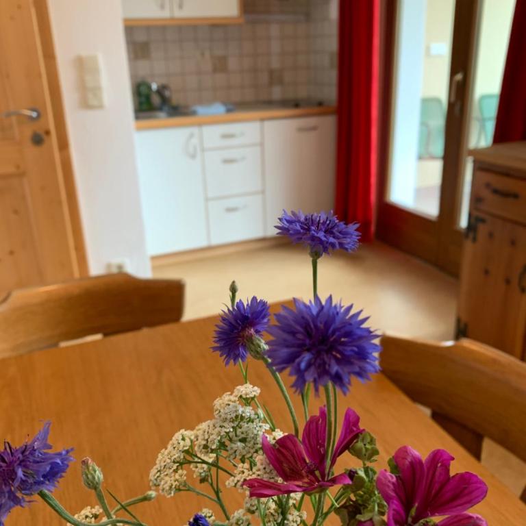 Residence Sonnenburger - Biobauernhof - Azienda agricola biologica - Three-Bedroom Apartment - 24