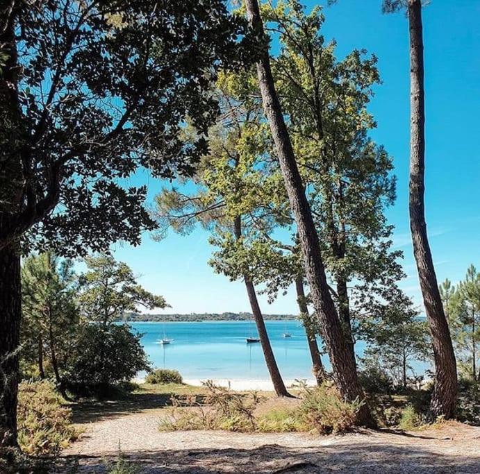 Charme & Nature - 2 chambres, cosy, Lac, Golf, Piscine, Terrasse, Parking, 2 à 5 pers max - Apartment mit 2 Schlafzimmern - 25