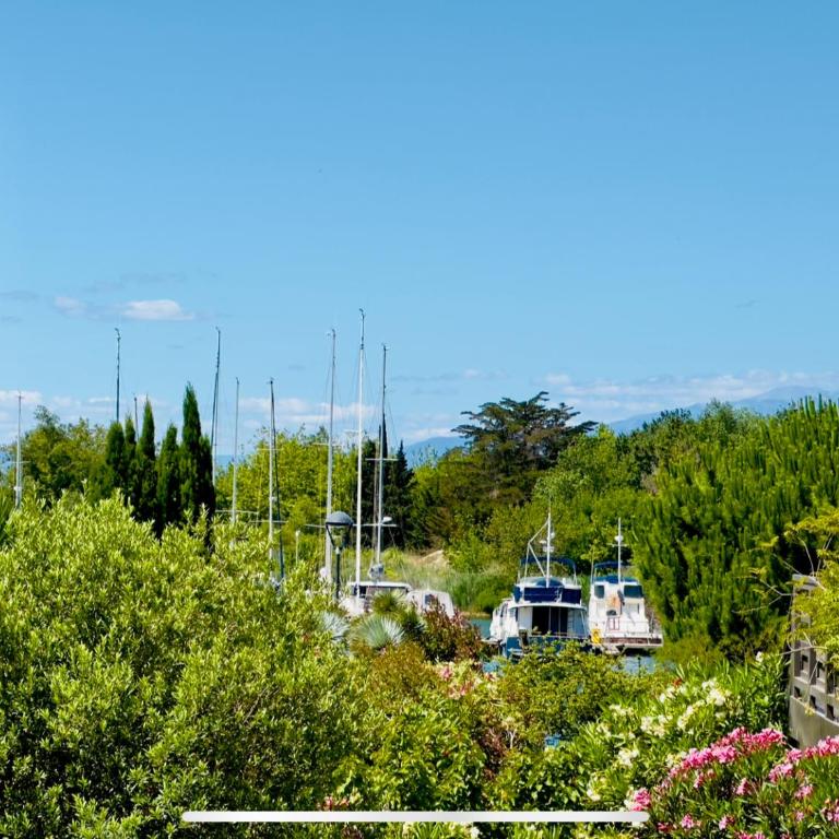 Havre de paix à Saint Cyprien à 300m de la plage - Three-Bedroom House - 2