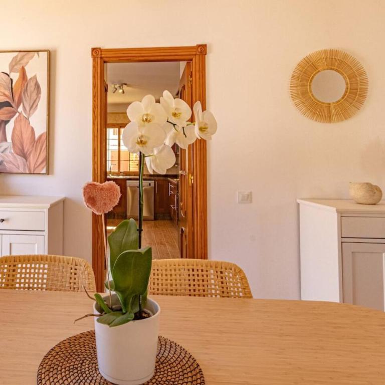 Villa Luna With Heated Pool - Villa - 21