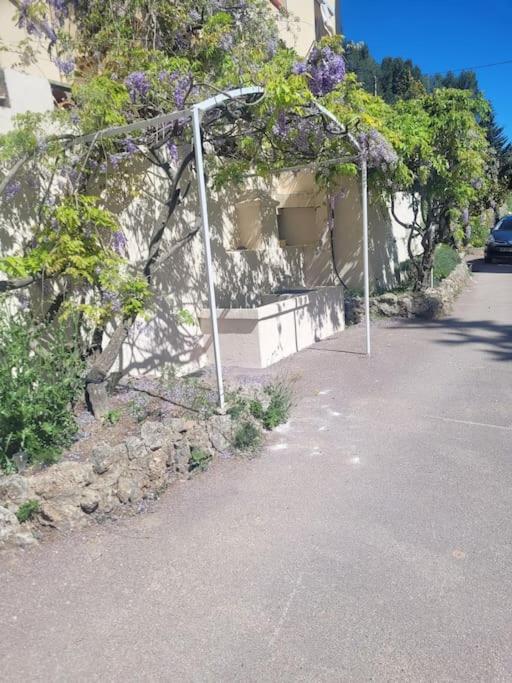 Le Mas Les Salamandres - Villa - 11