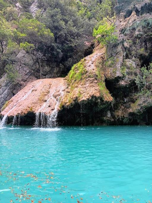 Le Mas Les Salamandres - Villa - 26