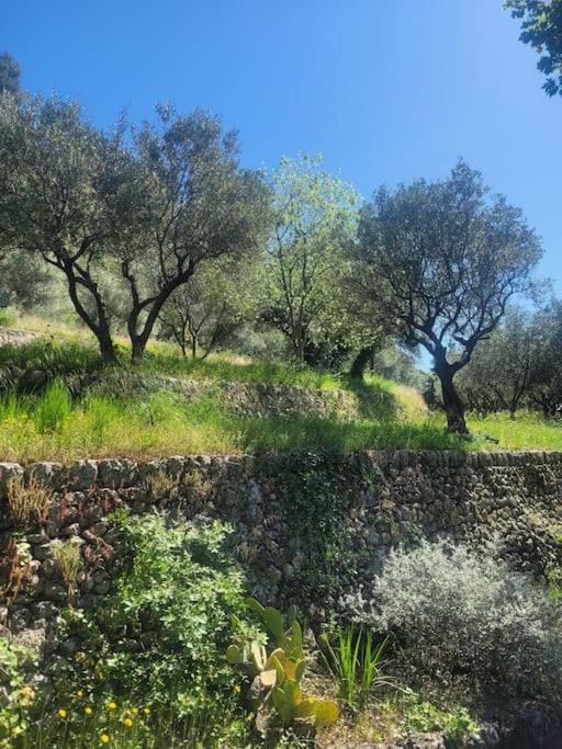 Le Mas Les Salamandres - Villa - 27