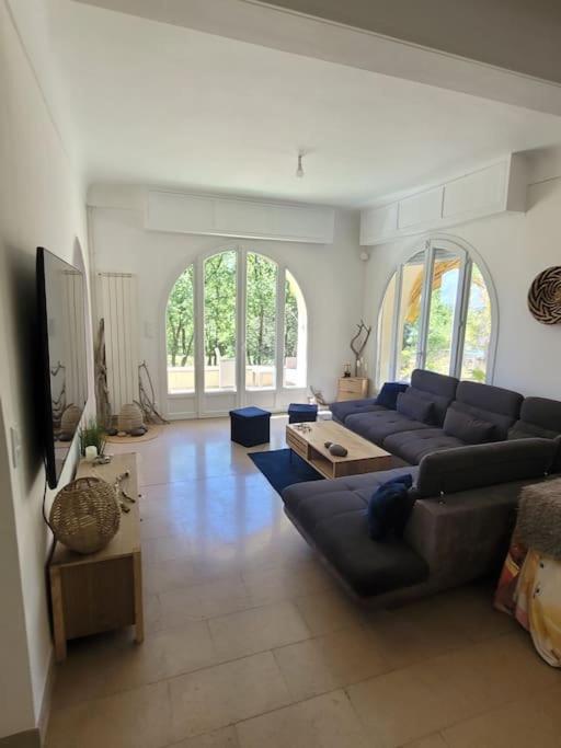 Le Mas Les Salamandres - Villa - 48