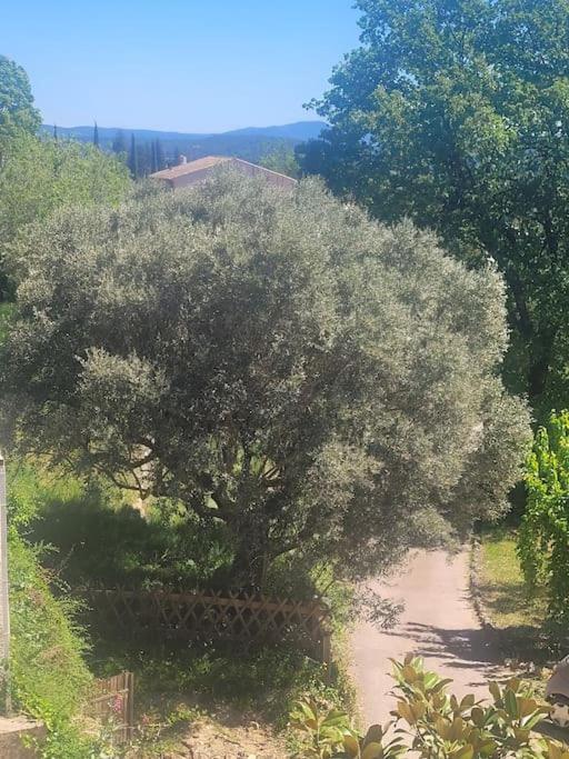 Le Mas Les Salamandres - Villa - 52