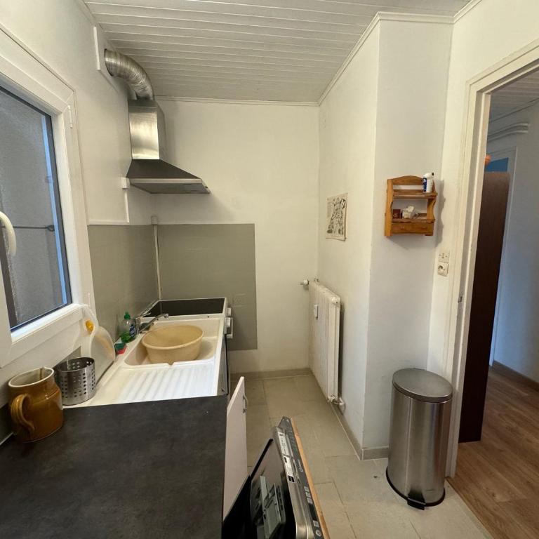 Appartement calme 4 pers, animaux ok, proche skibus - FR-1-445-36 - Appartement (5 Adultes) - 8