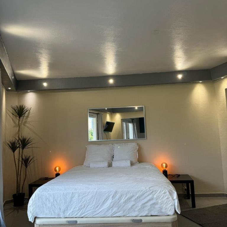Appart' Hôtel Fauriel Saint-Etienne Parking privé balcon wifi - Appartement 1 Chambre avec Balcon - 2