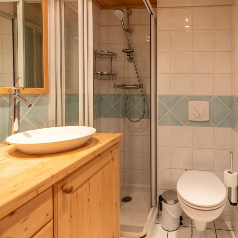 Saulire 7 with sauna - Appartement - 18