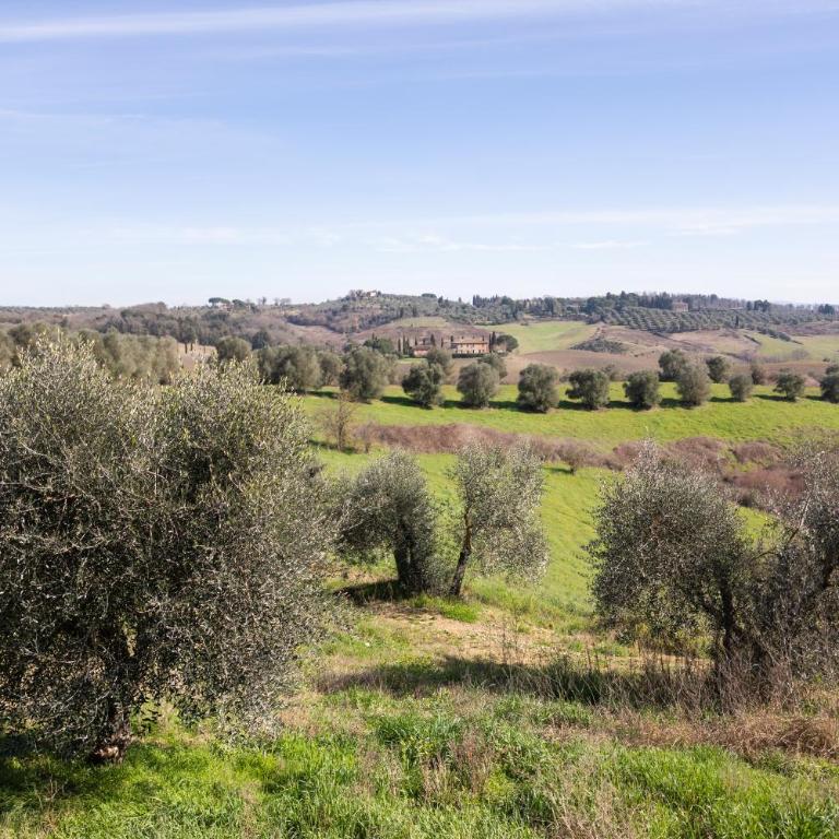 Casale Nora - Appartamento con 1 Camera da Letto e Vista Giardino - 7