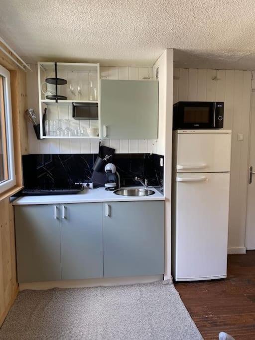 Studio cosy au pied de la télécabine pour l Alpe d Huez Parking privé - Appartement 1 Chambre - 7