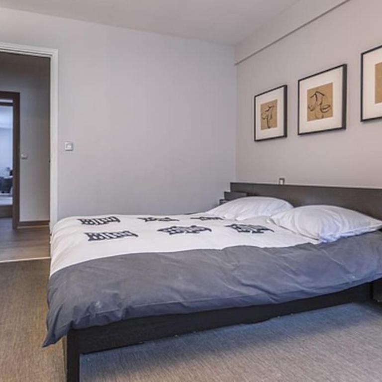 Victor Hugo Carrefour Pompe 16e proche Etoile et Tour Eiffel - Appartement 2 Chambres - 15