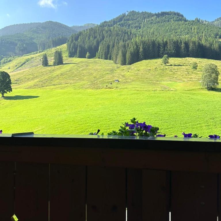 Sportpension Enzian - Superior Apartment mit Balkon - 5