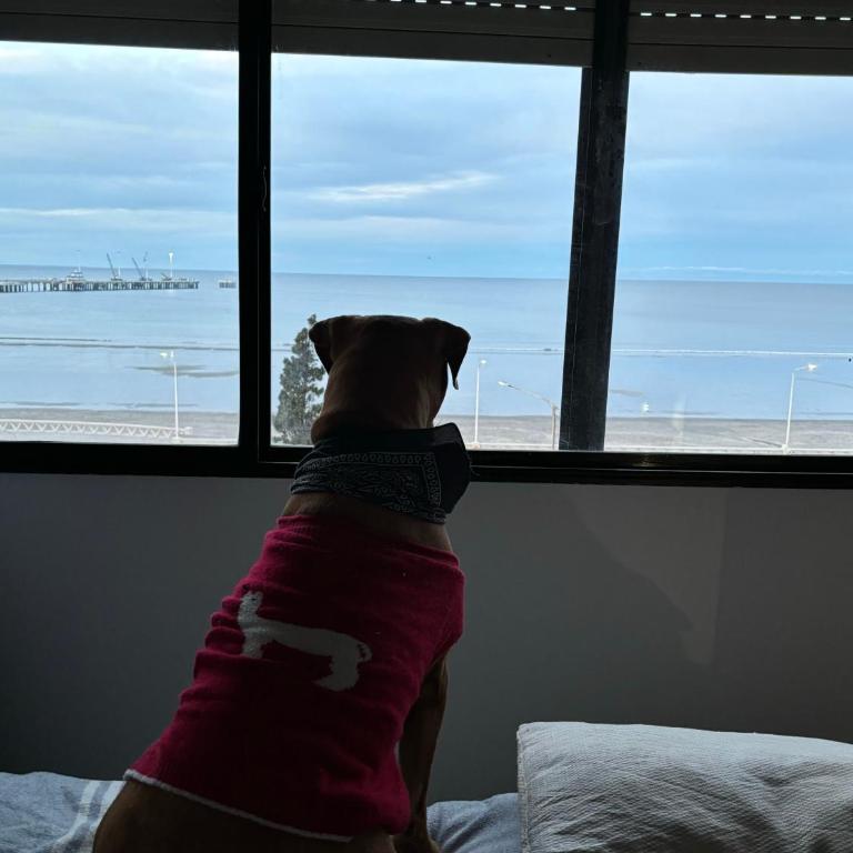 Torres céntrico frente al mar - Apartamento de 1 dormitorio - 9