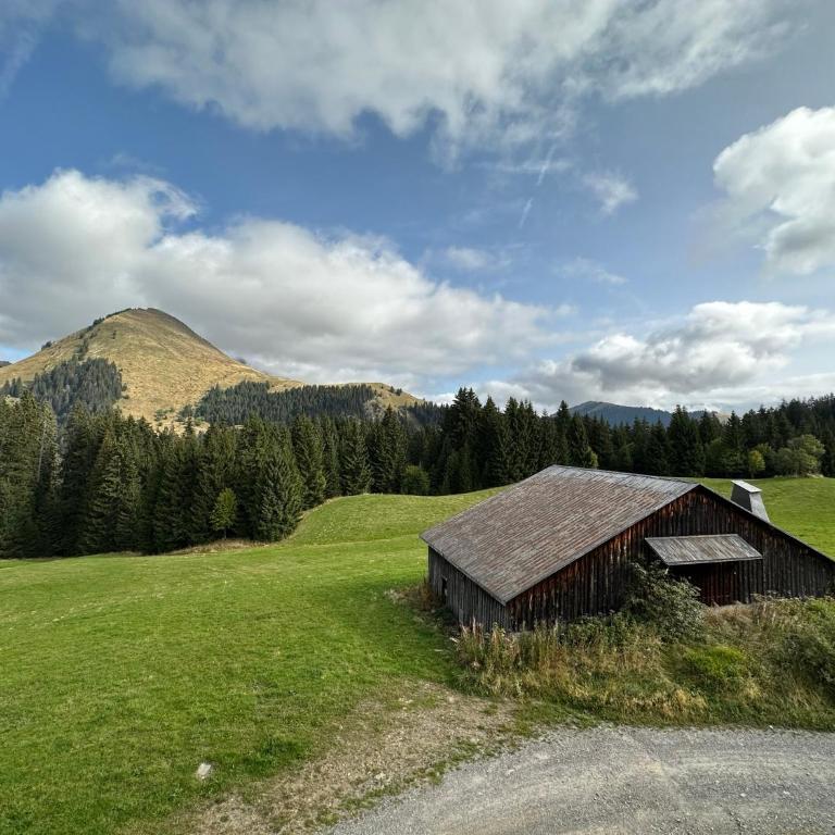 Studio au cœur du Praz-de-Lys - Les Pralyssimes - Appartement avec Vue sur la Montagne - 13