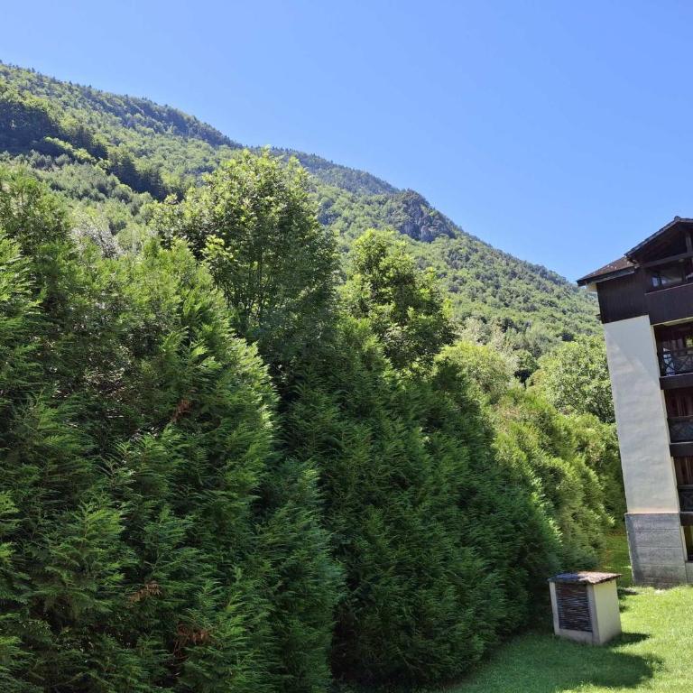 Studio lumineux avec Wifi et parking à Brides-les-Bains - Studio - 10
