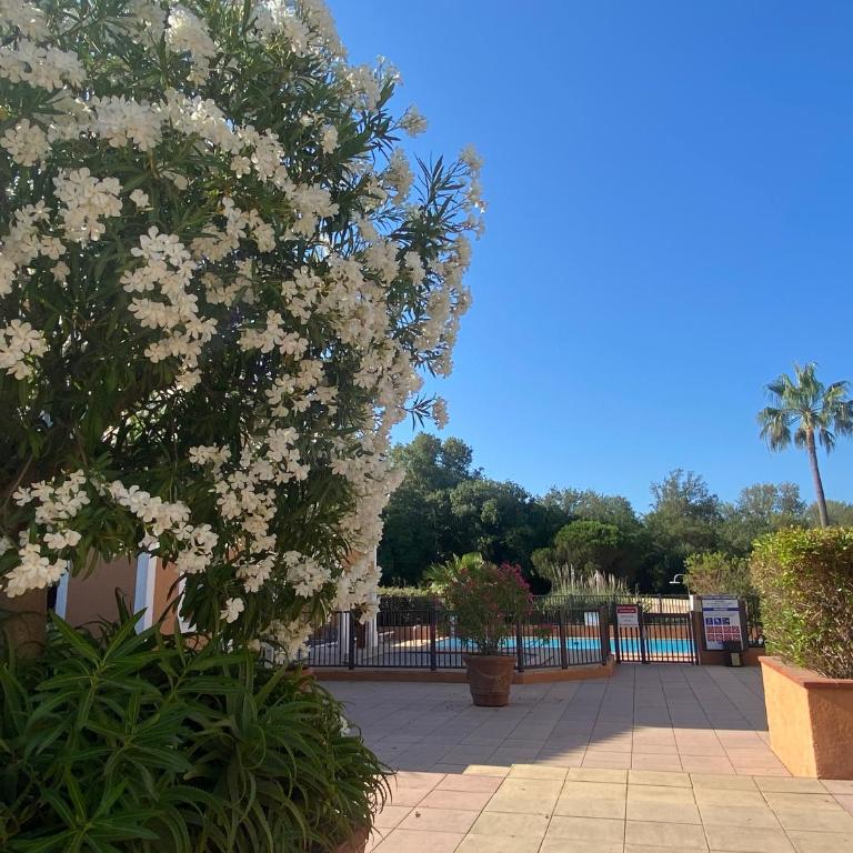 2 bedrooms, 15 min walk to beach, AC, pool & fiber internet in a quiet, private gated domain 5kms to St Tropez - Two-Bedroom Apartment - 16