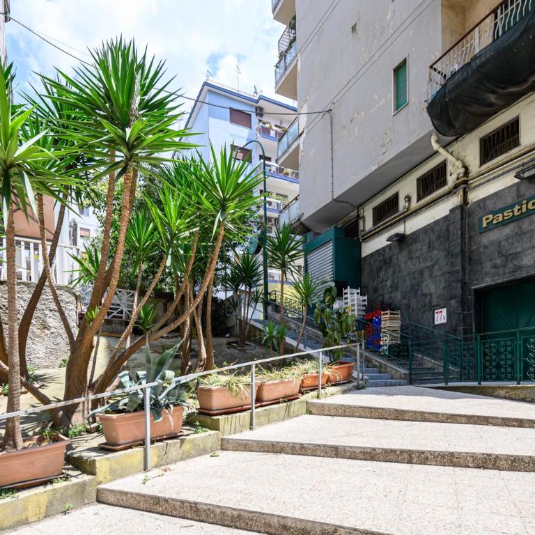Bob's House - Appartamento - 54