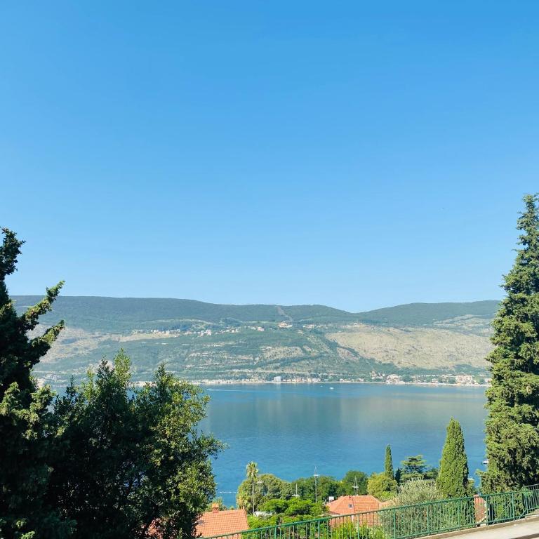 Apartmani Ilić - Apartment with Sea View - 1