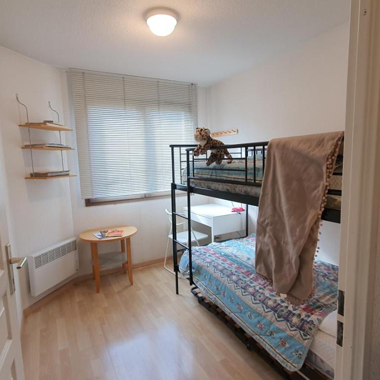 Jardin Alpin Edelweiss by Mountain Collection Immobilier - Appartement 1 Chambre avec Balcon et Vue sur les Montagnes - 6