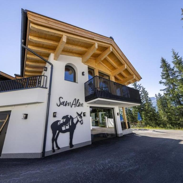 Sam Alm Top 1 - Ferienhaus - 14