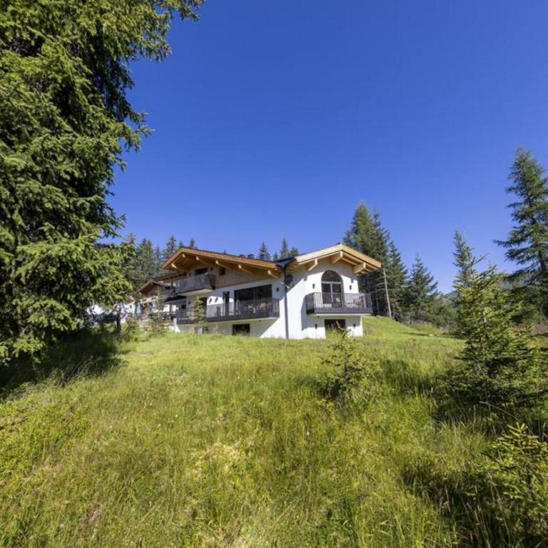 Sam Alm Top 2 - Ferienhaus - 10