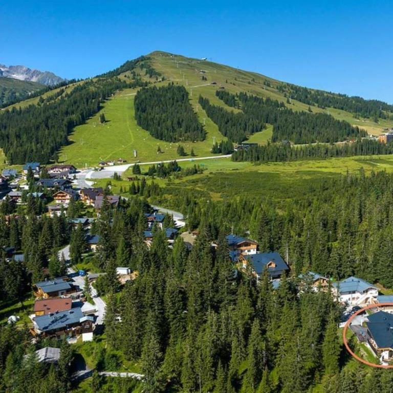 Sam Alm Top 2 - Ferienhaus - 32