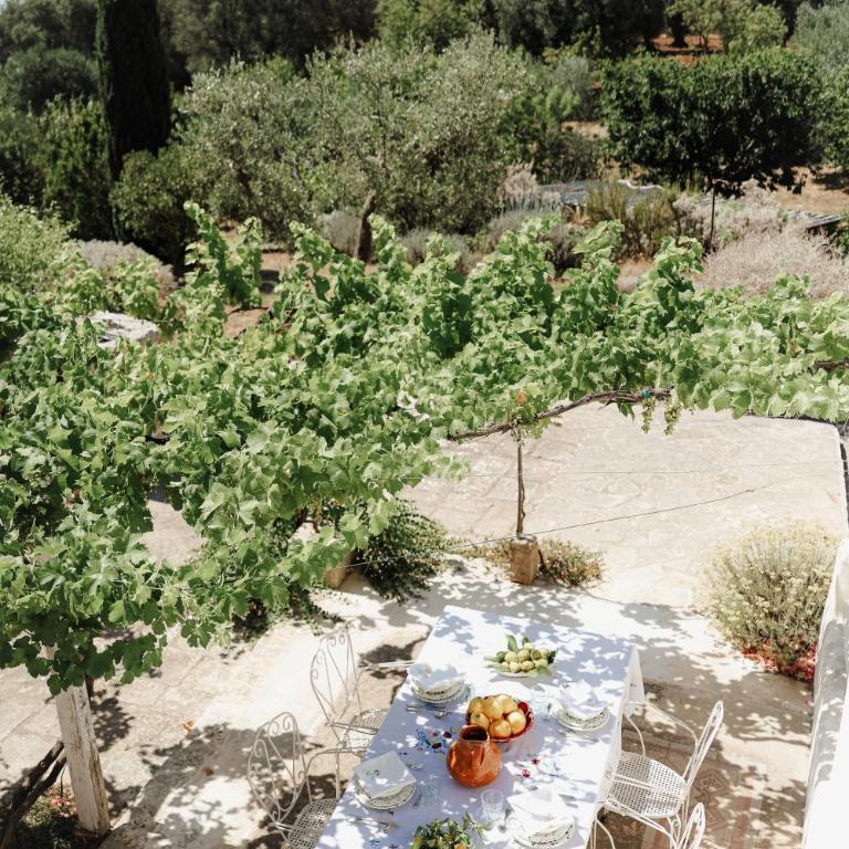 Trullo Scirocco con Piscina privata - Pace e relax a Ostuni - NEW 2025 - Apartment - 45