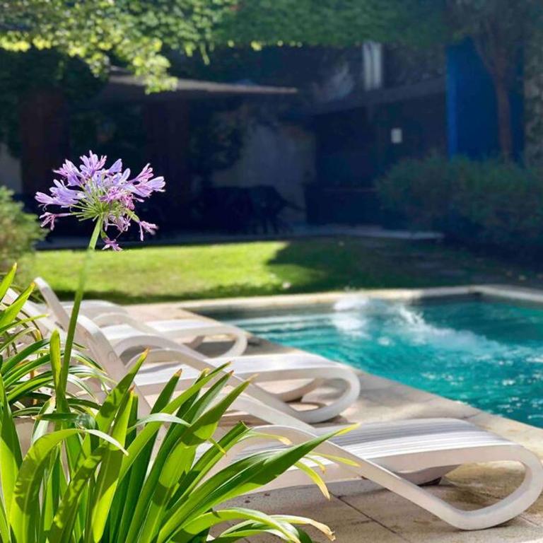 New & luxury in San Telmo Piscina BBQ, GYM Laundry - One-Bedroom Apartment - 11