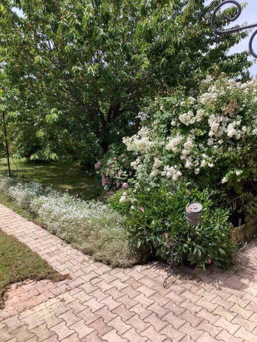 Super maison 5 pièces avec jardin - Villa de 3 dormitorios - 39