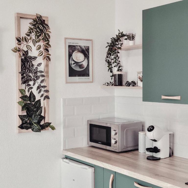 La Parenthèse au cœur des palmiers, sur les hauteurs de Grasse - Appartement 1 Chambre - 6
