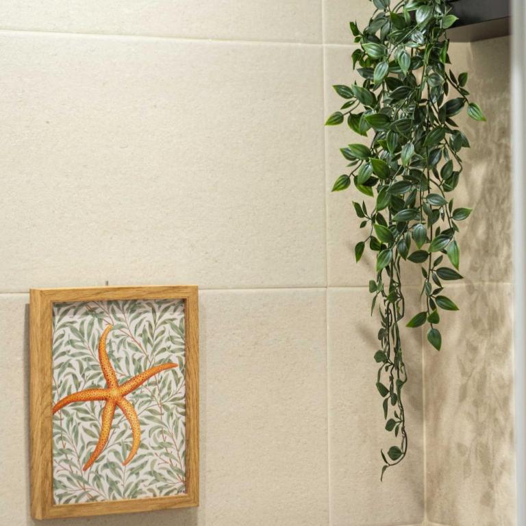 Apartamento Playa de Gijón - Apartamento de 2 dormitorios - 30