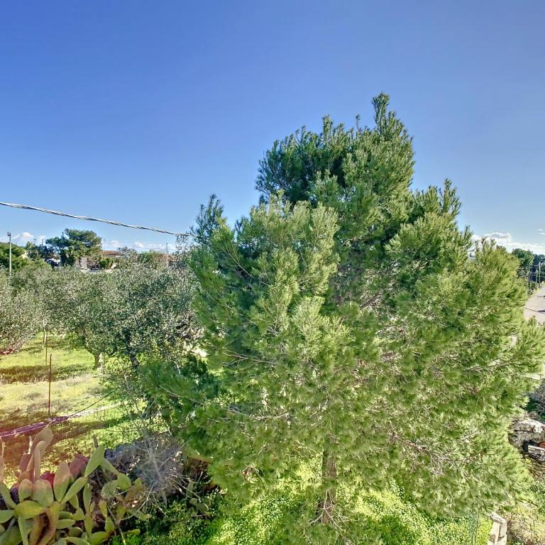 Terra Bianca Salento - Casa Vacanze con 4 Camere da Letto - 27