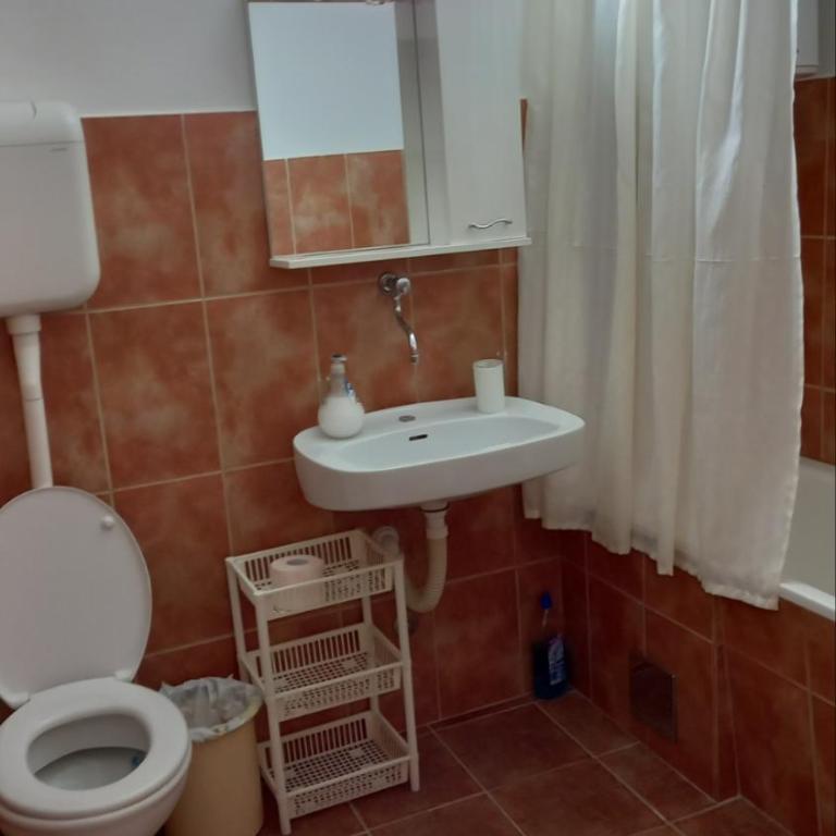 Milica, Soba sa kupatilom - One-Bedroom Apartment - 4