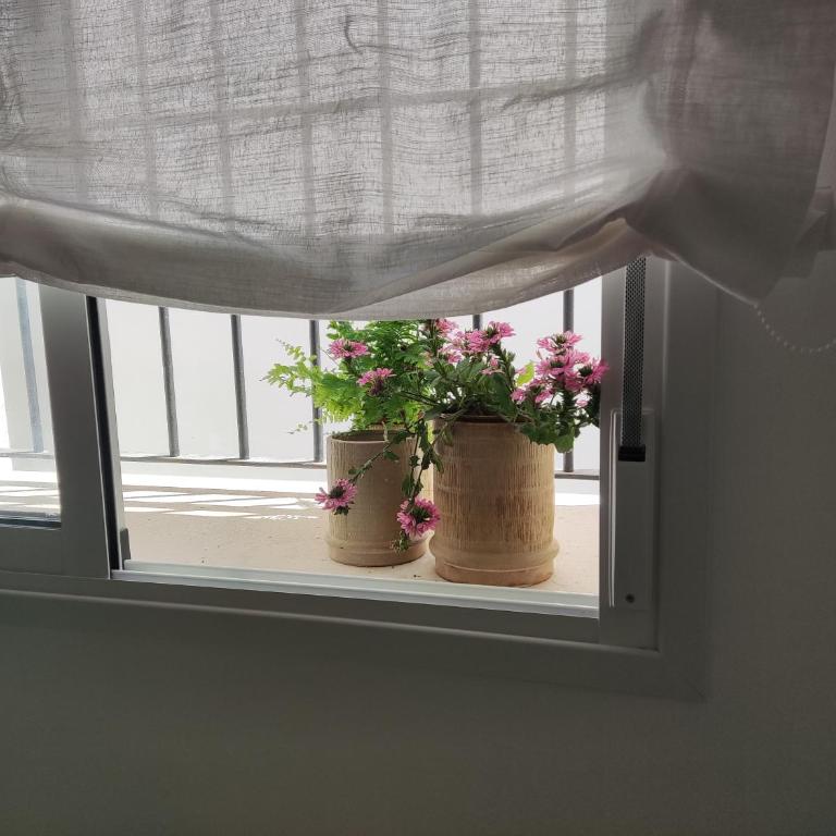 Casa Bakio - Apartamento de 2 dormitorios - 17