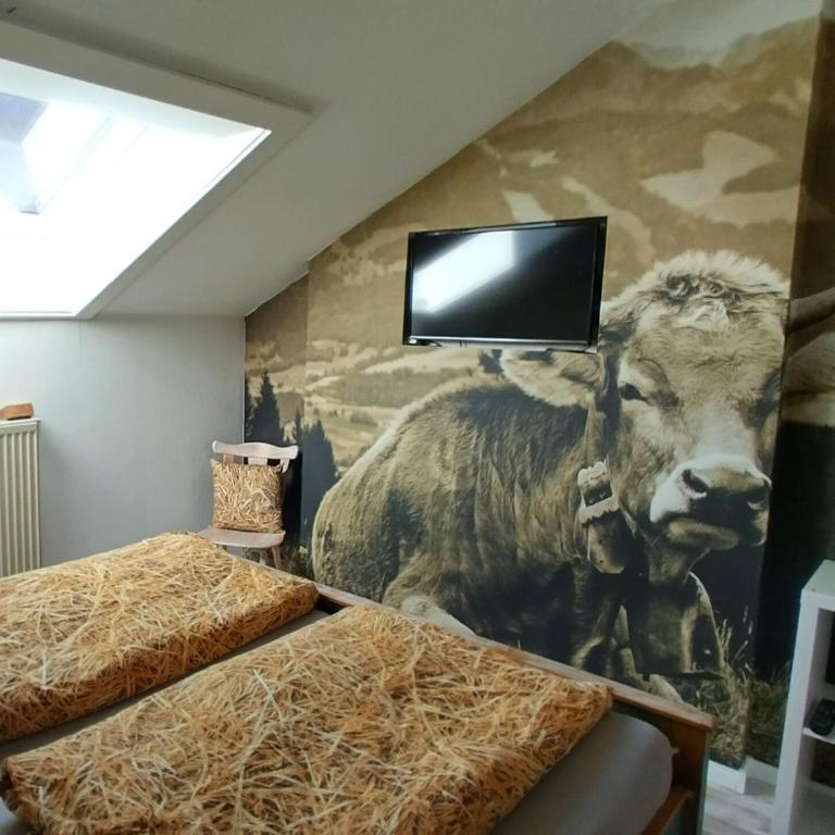 Alphorn Bergnescht - Apartment mit 1 Schlafzimmer - 1
