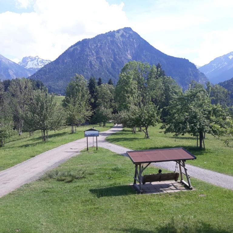 Alphorn Bergnescht - Apartment mit 1 Schlafzimmer - 7